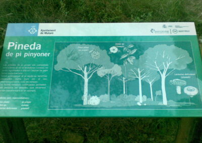 Il·lustracions per als Cartells de fauna i flora del Parc Natural del Montnegre