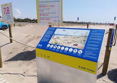 Il·lustracions de flora i fauna de les dunes per a AMB Platges