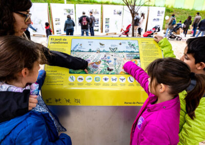 Il·lustracions per al jardí de papallones de la AMB