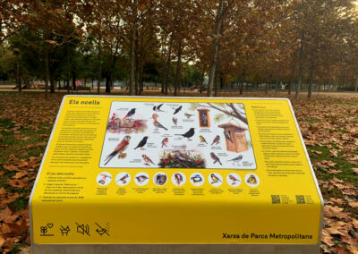 Il·lustracions d’ocells per a cartells de l’AMB Parcs