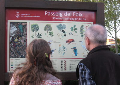 Il·lustracions per als cartells de fauna i flora del Passeig del Foix
