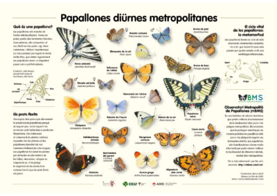 Altres treballs d’il·lustració per a parcs naturals