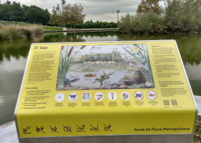 Il·lustracions per a diferents cartells de la xarxa AMB Jardins